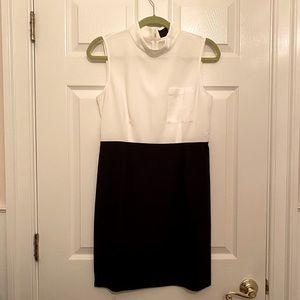 NWOT Pure Navy color block sheath dress